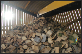Stock Log Pile and Conveyer